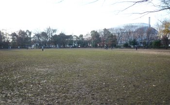 淵野辺公園 広場